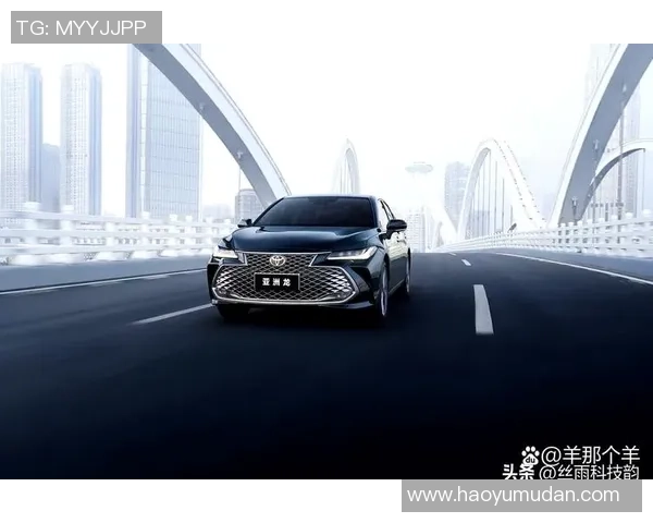 南京羽毛球队在洲际杯积分榜上以64分稳居第一名展现强劲实力