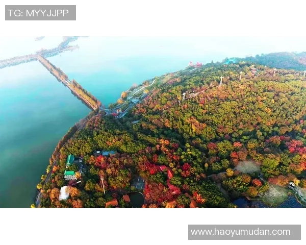 武汉篮球队的洲际杯征程与奋斗精神全景回顾